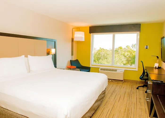 Holiday Inn Express St. Petersburg North / I-275 By Ihg