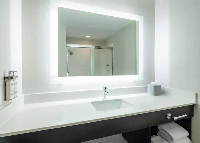 Holiday Inn Express St. Petersburg North / I-275 By Ihg